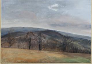 Sylvia Plimack Mangold - Woodcock Mountain