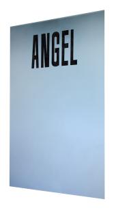 Sylvie Fleury - Angel