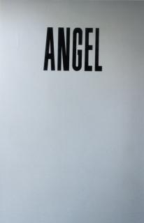 Sylvie Fleury - Angel