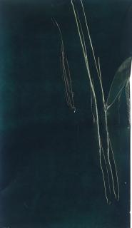 Sylvie Fleury - Crash Test 2-36