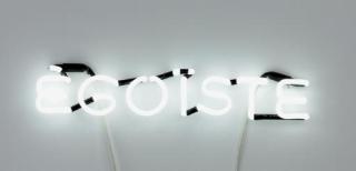 Sylvie Fleury - Egoiste