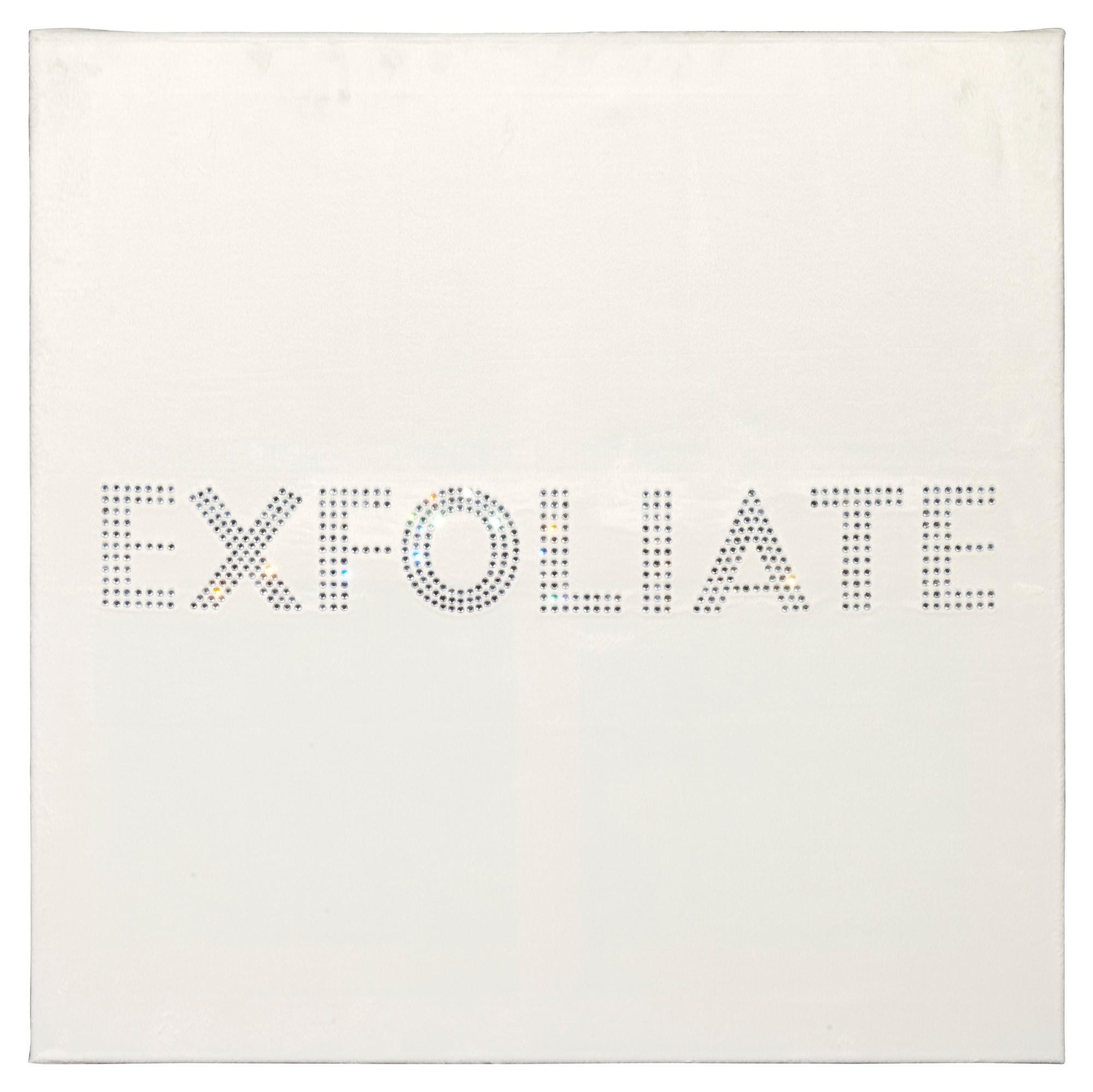Sylvie Fleury - Exfoliate, 2000