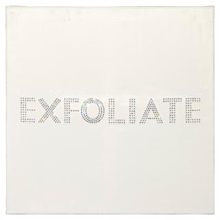 Sylvie Fleury - Exfoliate, 2000