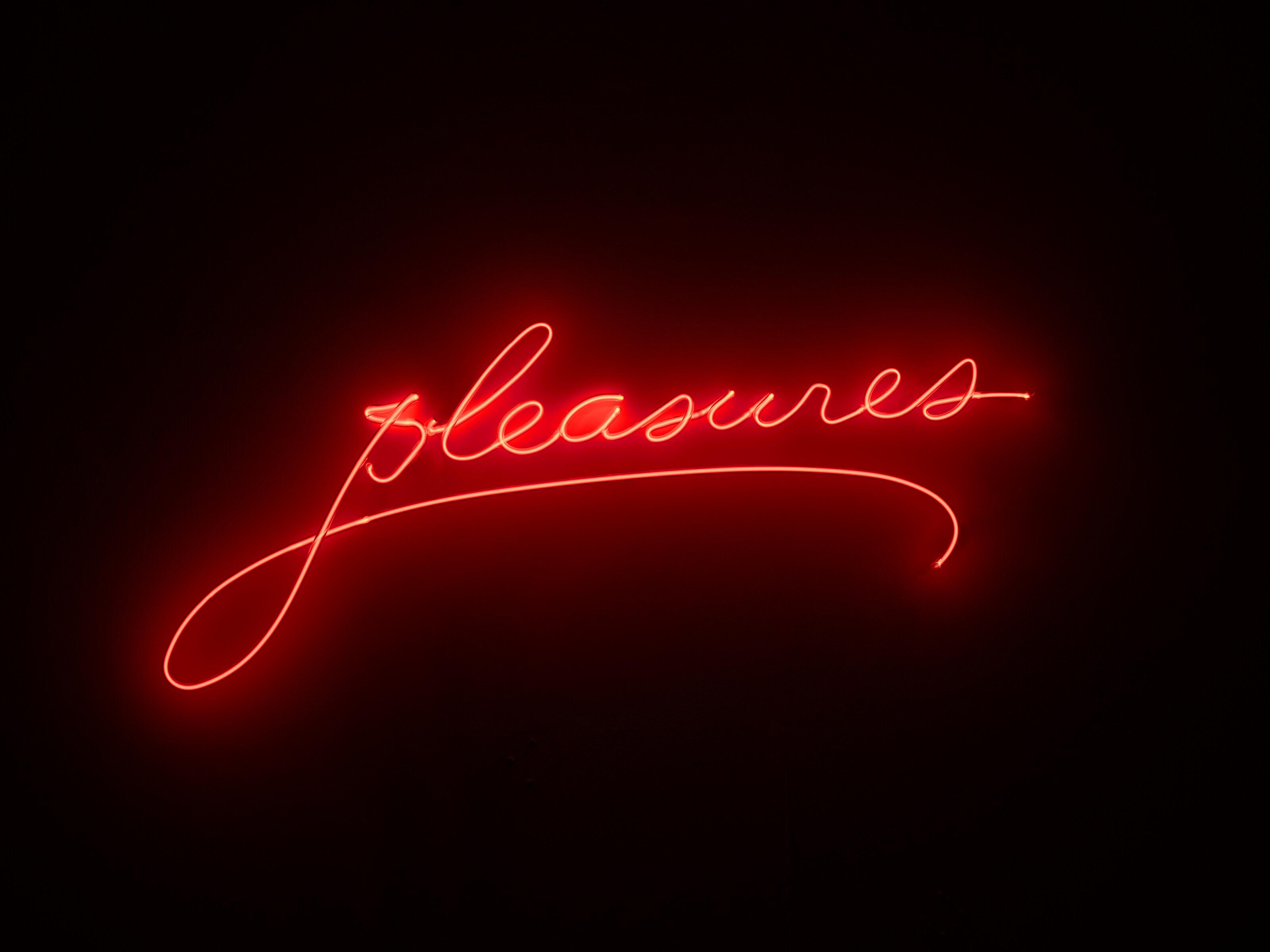 Sylvie Fleury - Pleasures