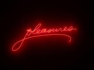 Sylvie Fleury - Pleasures