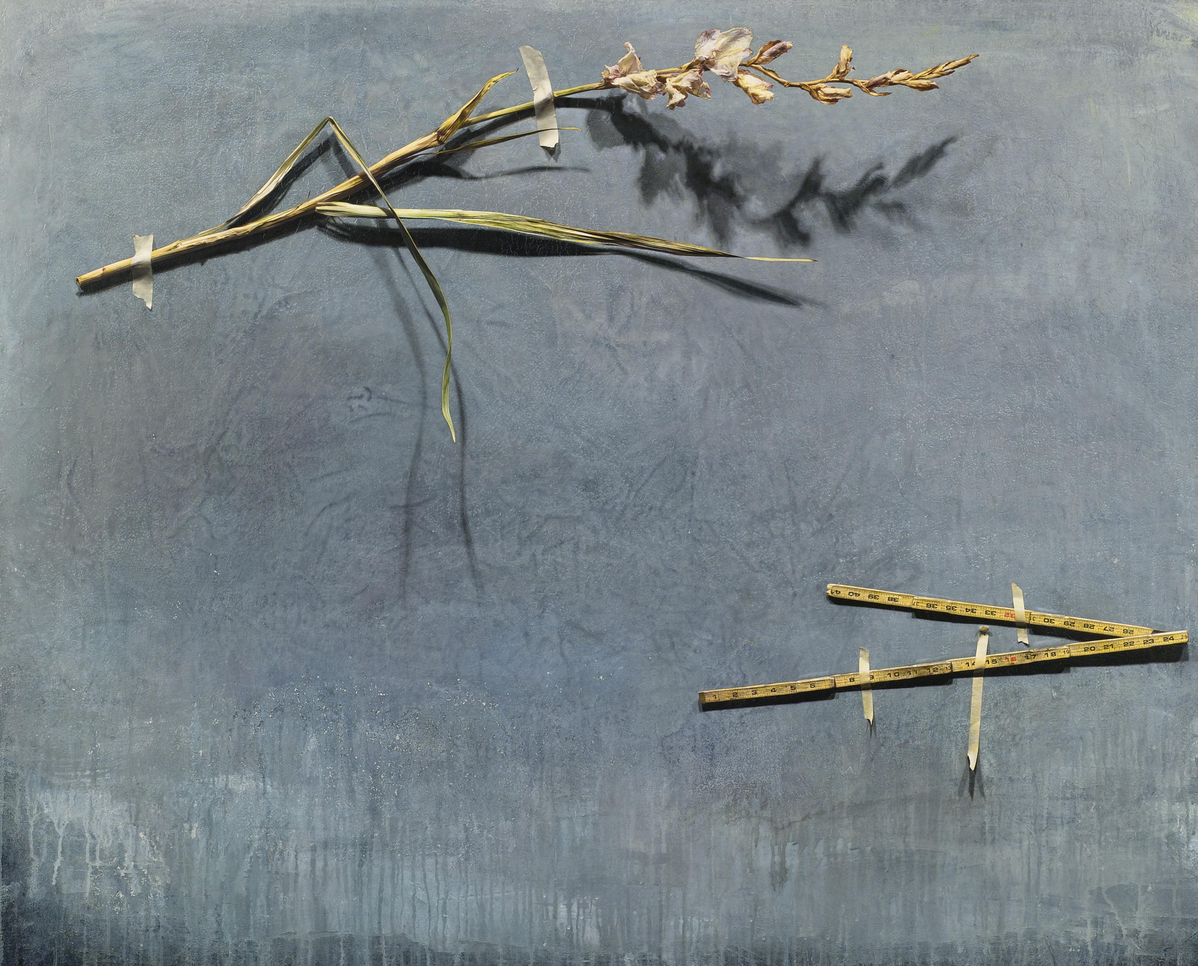 Szeto Keung - Gladiola