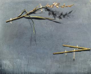 Szeto Keung - Gladiola