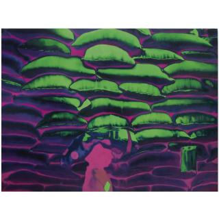 T.V. Santhosh - Rats And Manmade Famine Ii