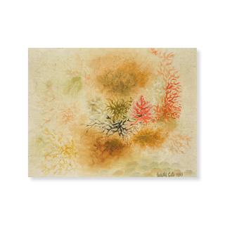 Tadashi Sato - Sans titre