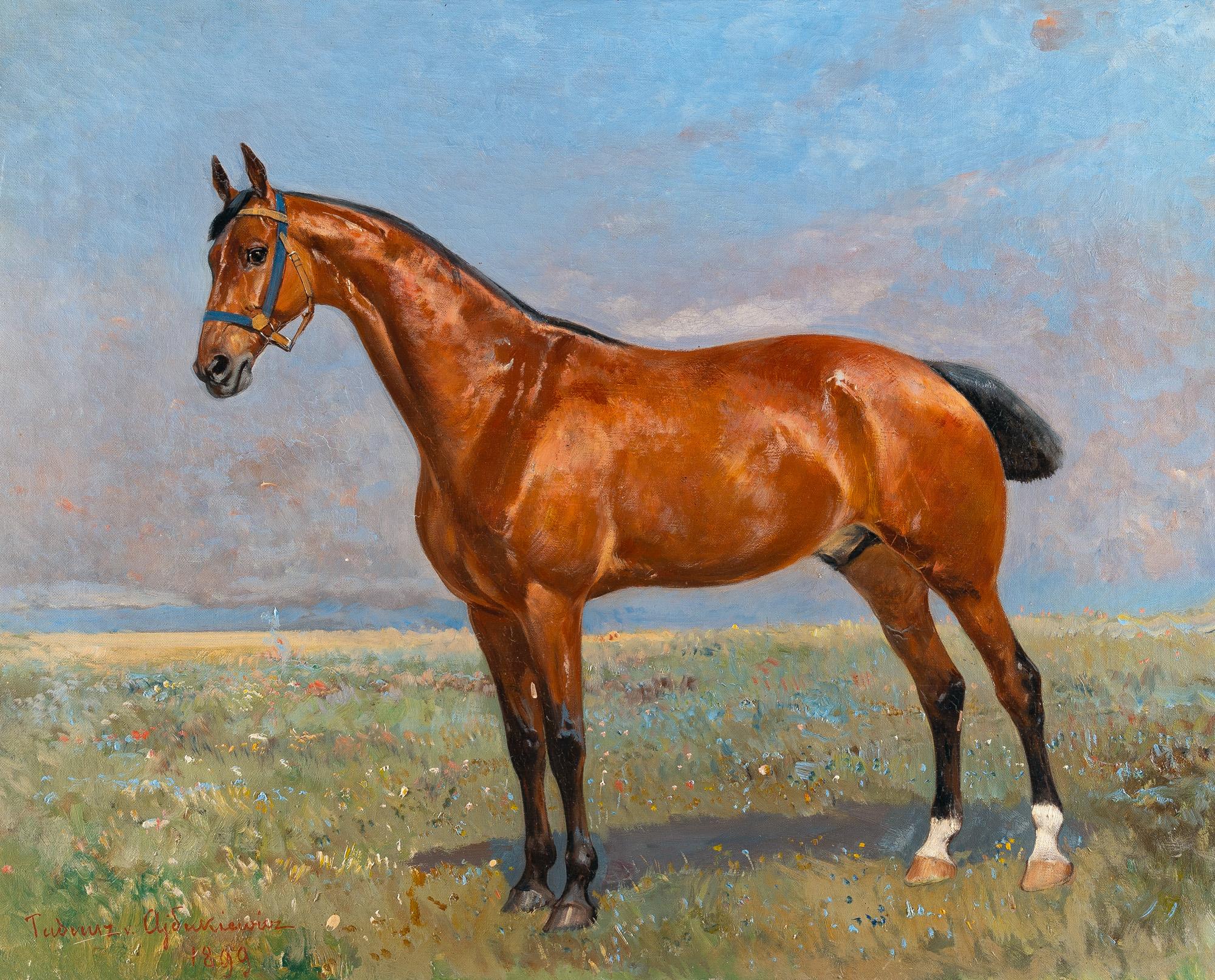 Tadeusz Ajdukiewicz - Braunes Rennpferd in Steppenlandschaft