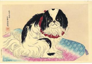 Takahashi Hiroaki - Unknown