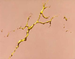 Takashi Murakami - Peach Milk