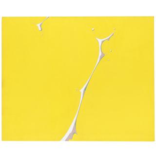 Takashi Murakami - Pinyan