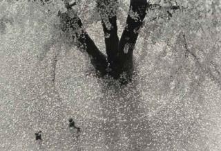 Takeichi Hotta - Fall, 1958