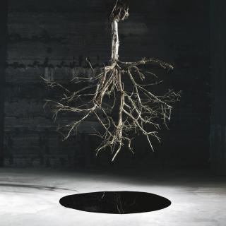 Tal Shochat - Untitled