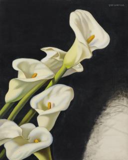 Tamara De Lempicka - Arums (Étude)