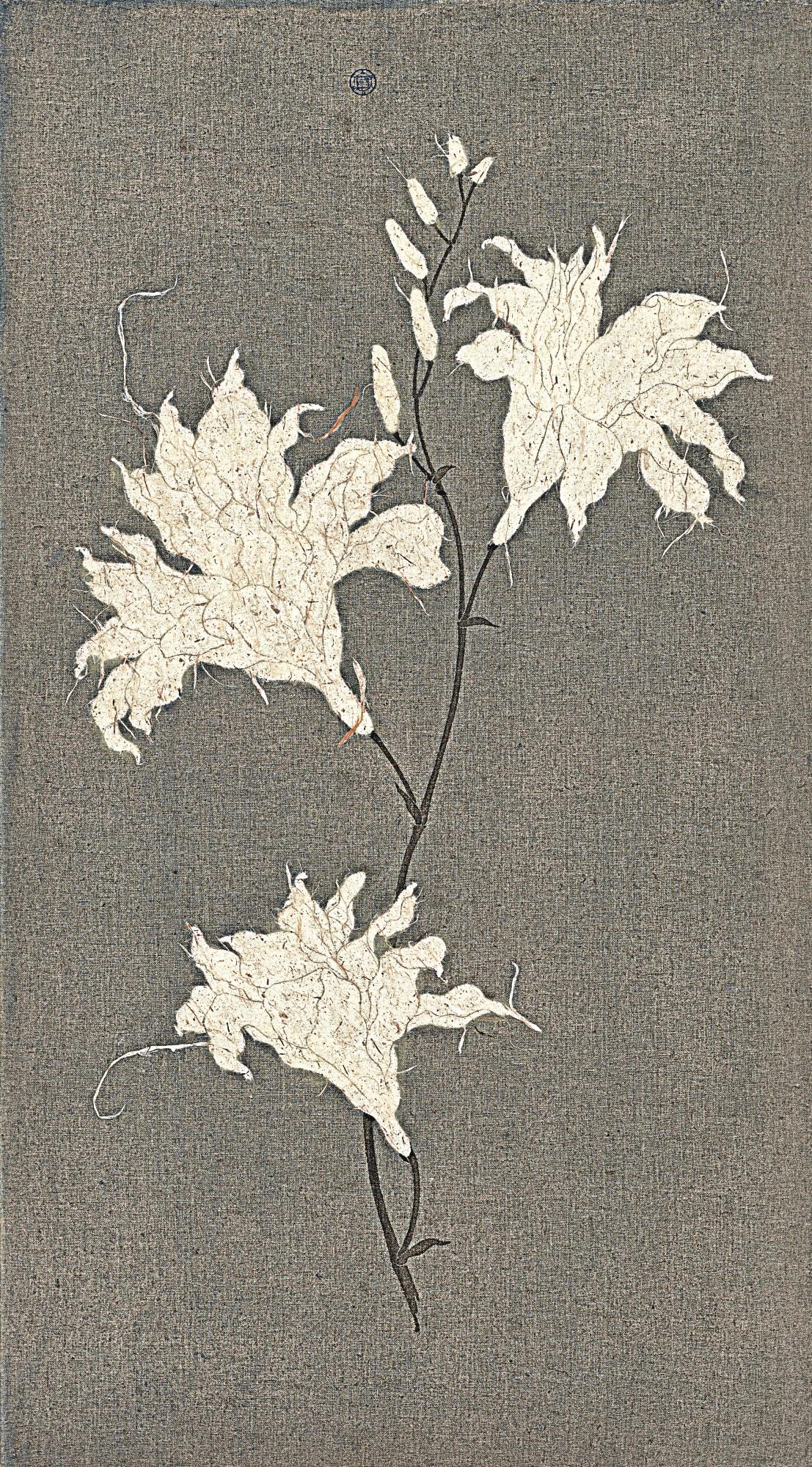 Tan Jun - Phenophase 18