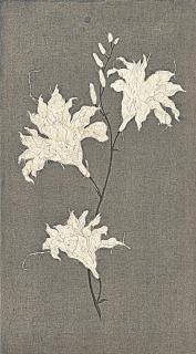 Tan Jun - Phenophase 18