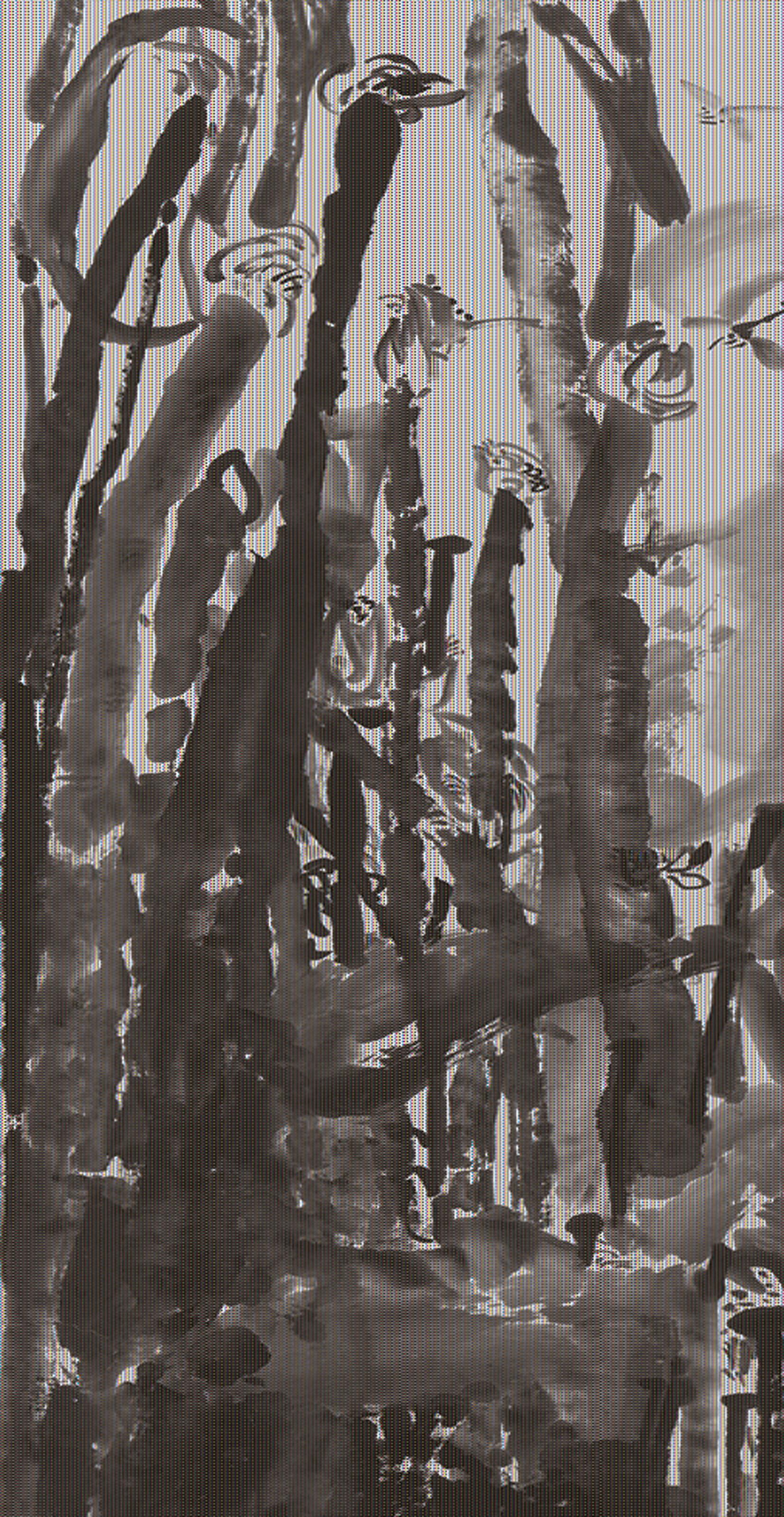 Tan Oe Pang - Lotus with Lovely Dragonfly