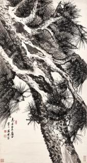 Tang Di - Pine Tree