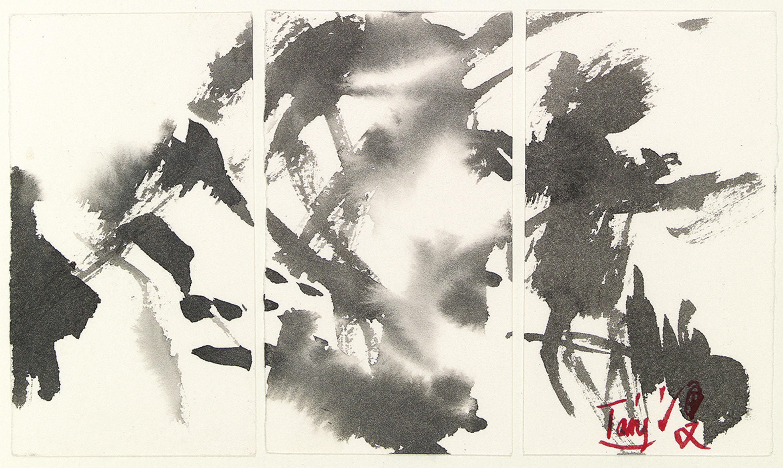 T\'Ang Haiwen - Triptych 18