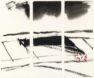 T\'Ang Haiwen - Triptych 20