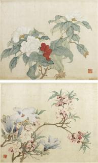 Tang Shishu - Flowers