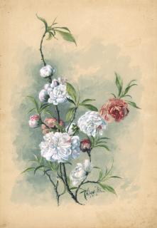 Tao Lengyue - Peach Blossoms