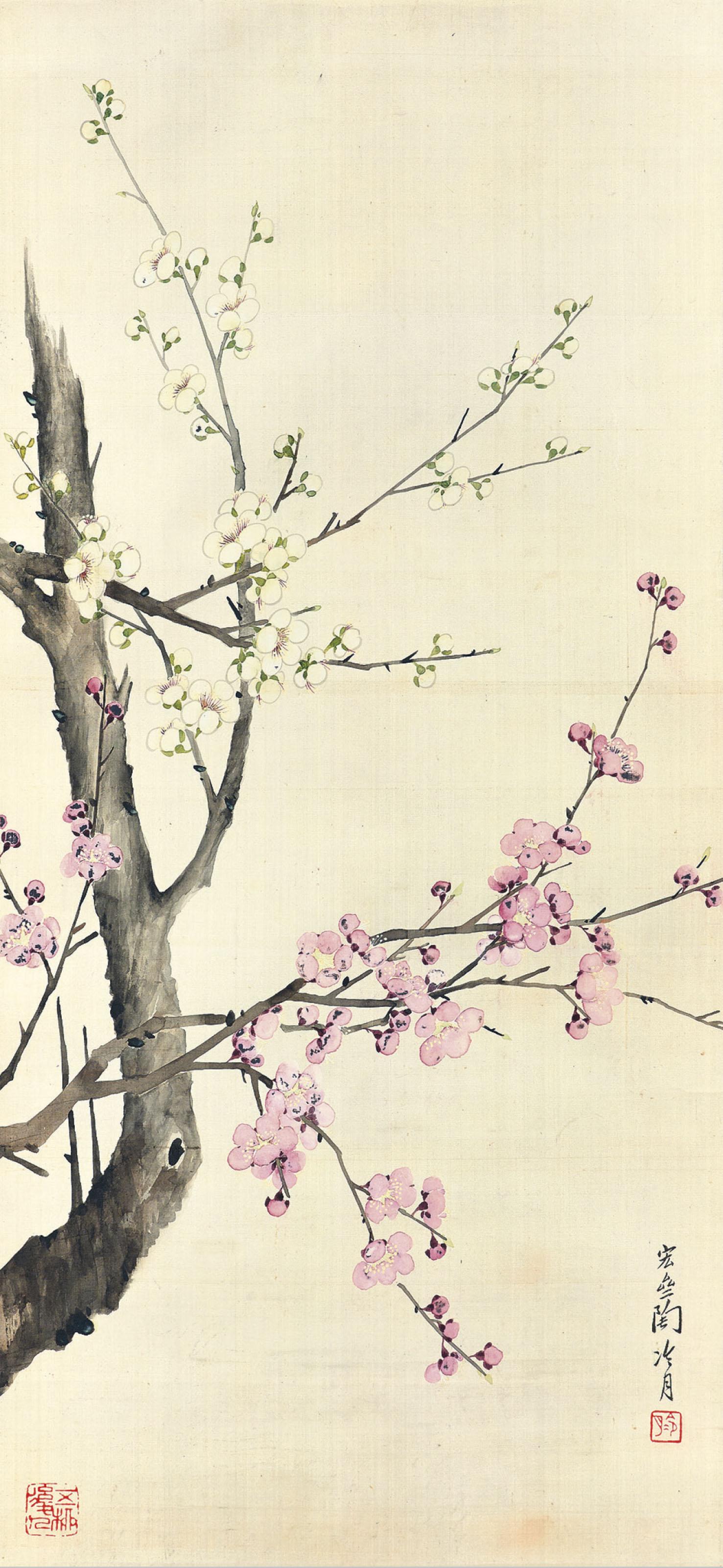 Tao Lengyue - Plum Blossoms in Two Colours
