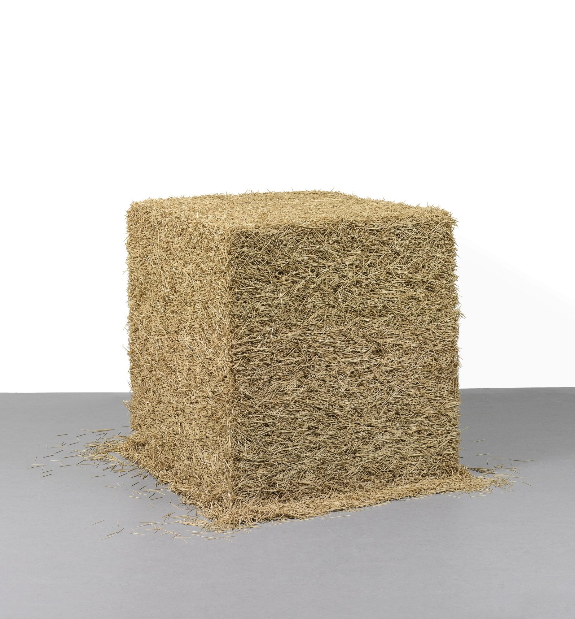 Tara Donovan - Toothpicks