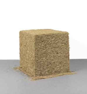 Tara Donovan - Toothpicks