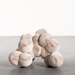 Tara Donovan - Untitled (Paper Plates)