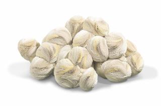 Tara Donovan - Untitled (Paper Plates)