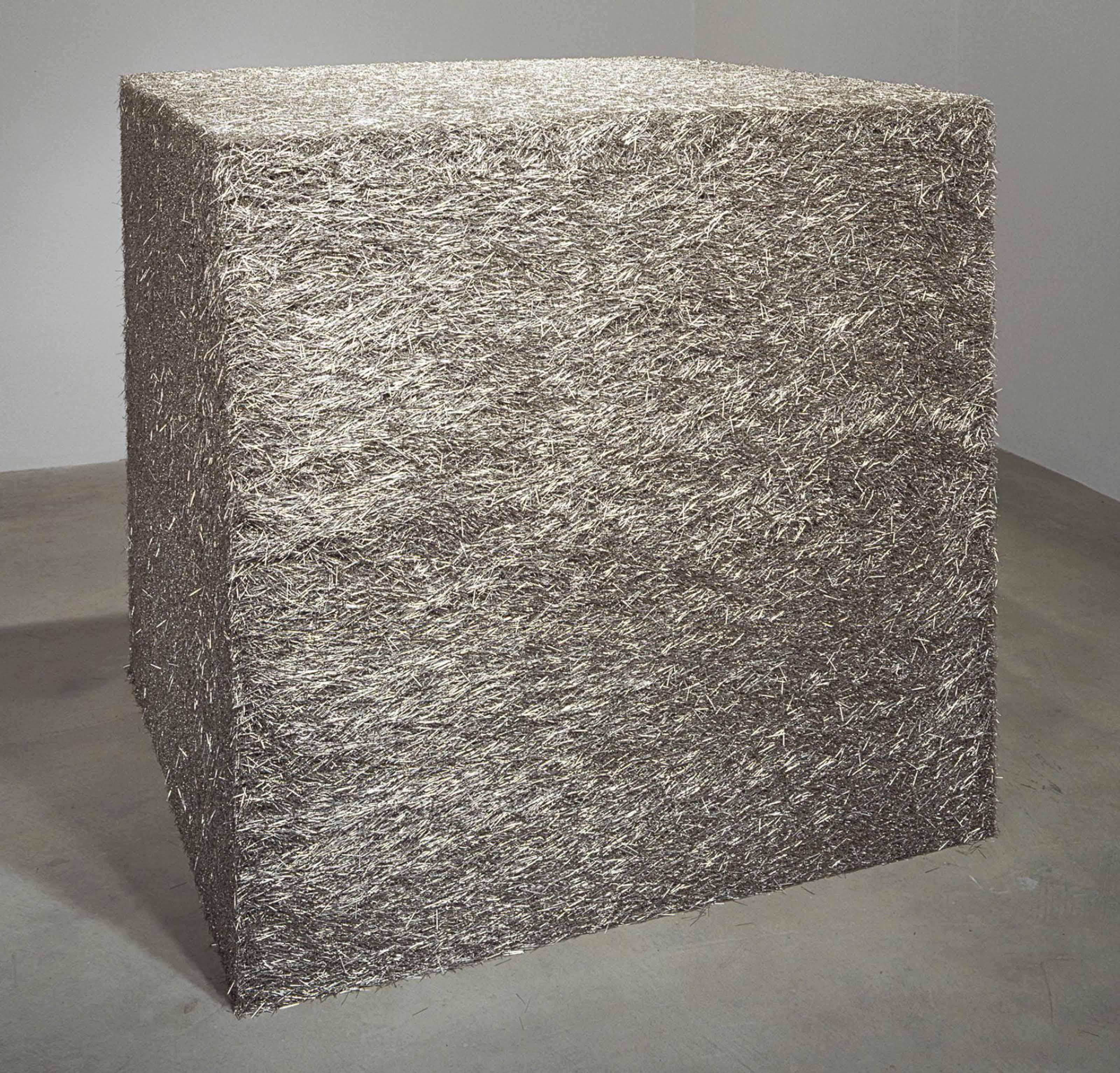 Tara Donovan - Untitled (Pins)