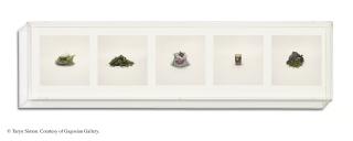 Taryn Simon - Beans (Prohibited)