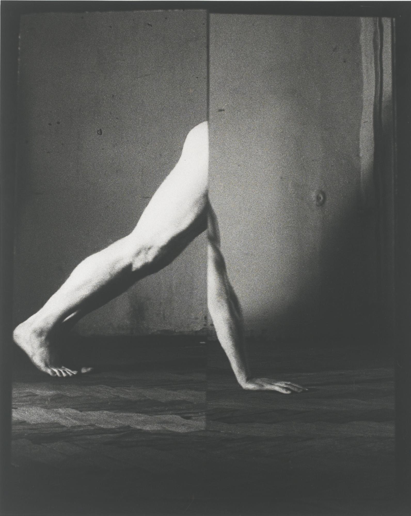 Tatiana Lieberman - Untitled