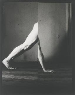 Tatiana Lieberman - Untitled