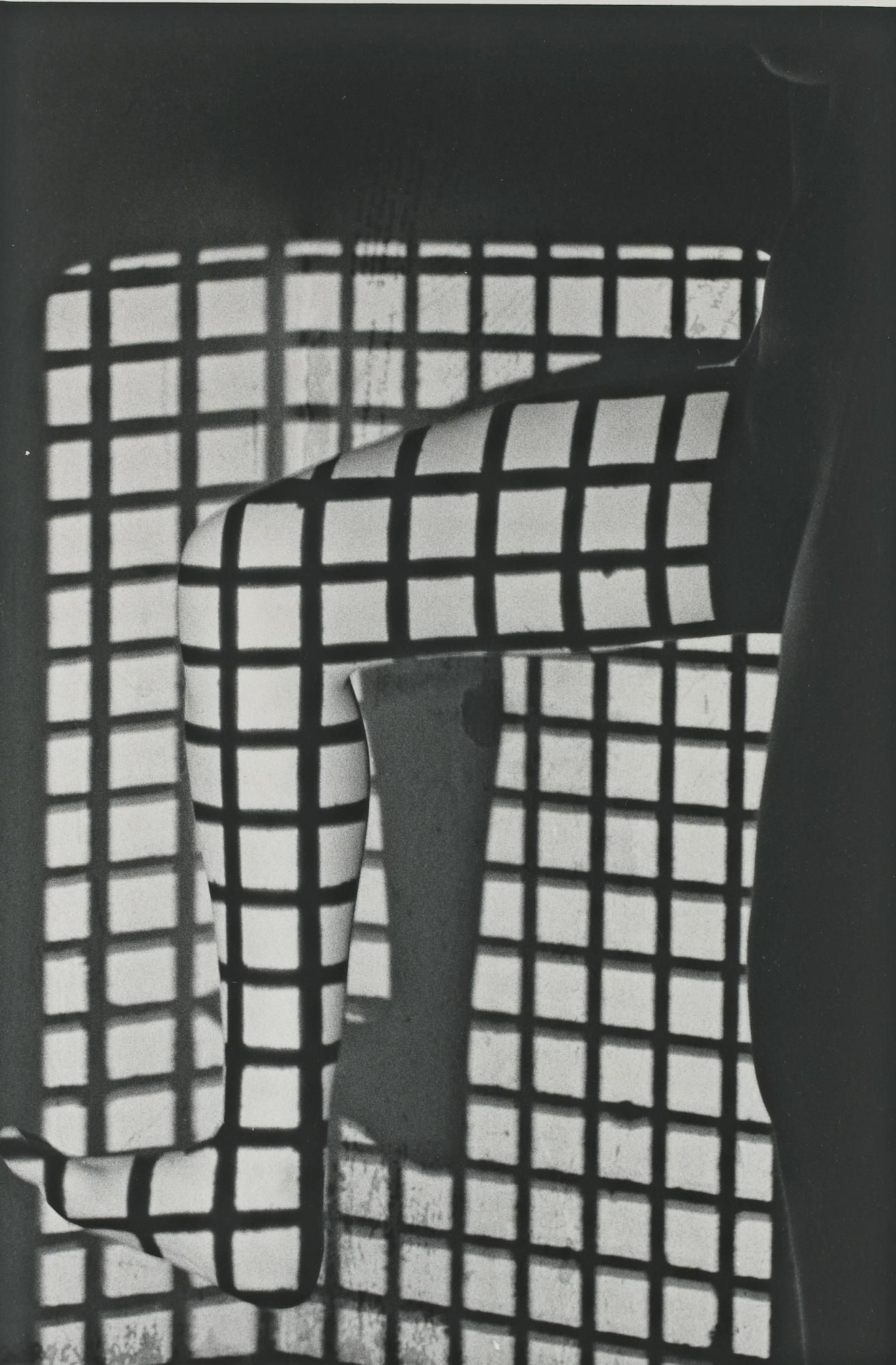 Tatiana Lieberman - Untitled