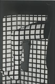 Tatiana Lieberman - Untitled