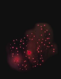 Tatsuo Miyajima - Counter Fragile, No. 19