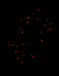 Tatsuo Miyajima - Counter Fragile No. 4