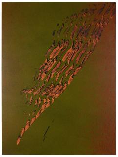 Tauba Auerbach - Grain: Sierpinski Ghost II