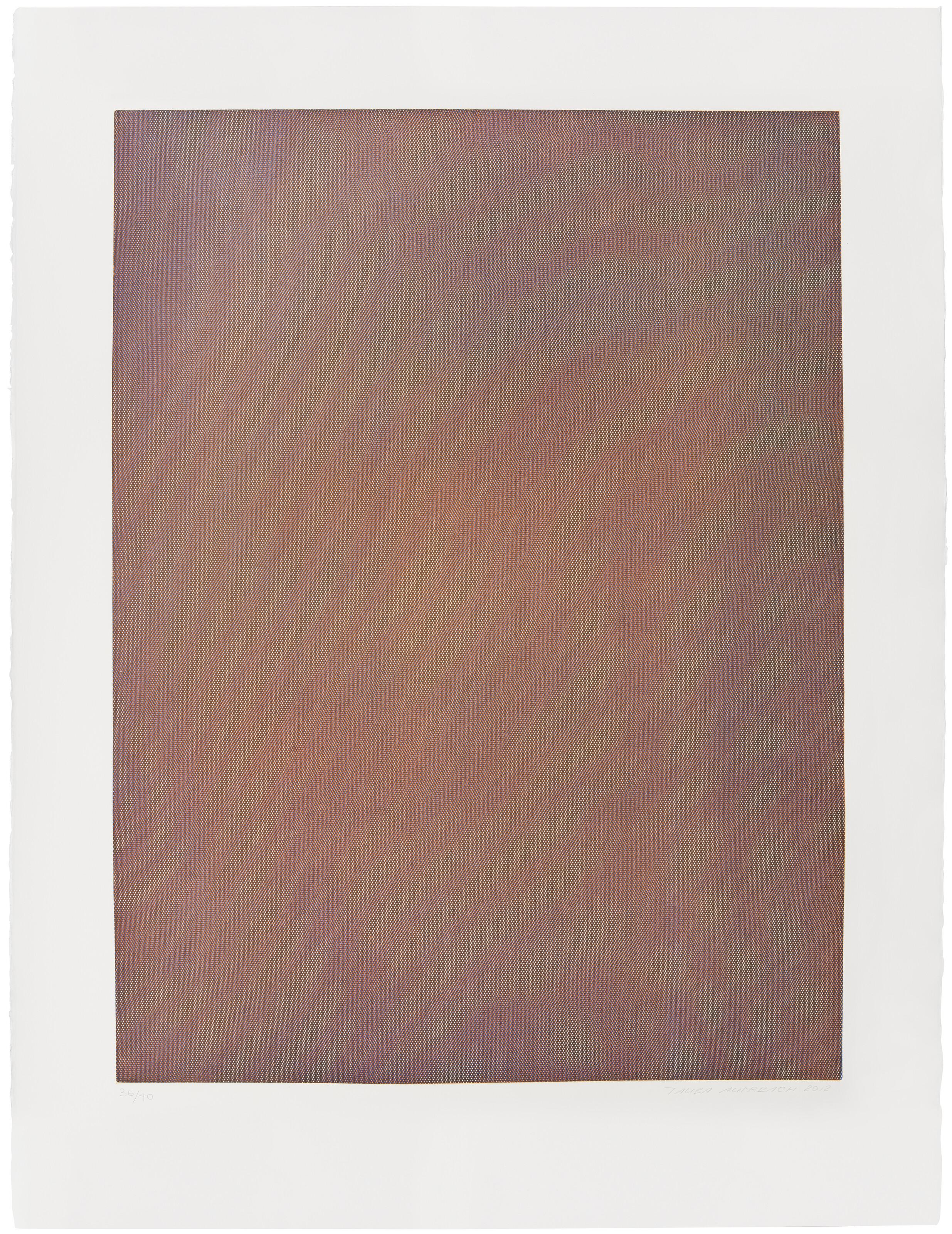 Tauba Auerbach - Mesh Moire I