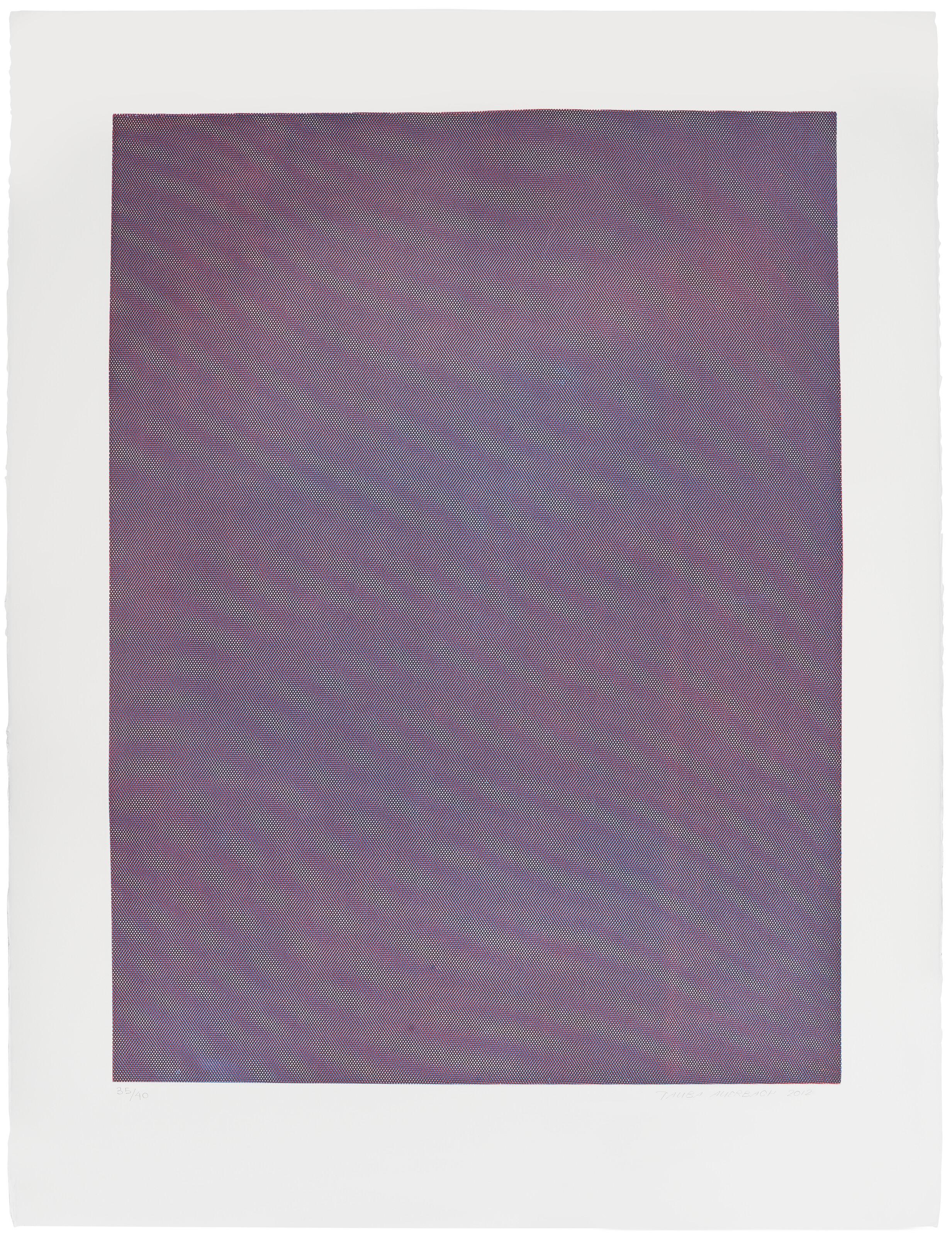 Tauba Auerbach - Mesh Moire IV