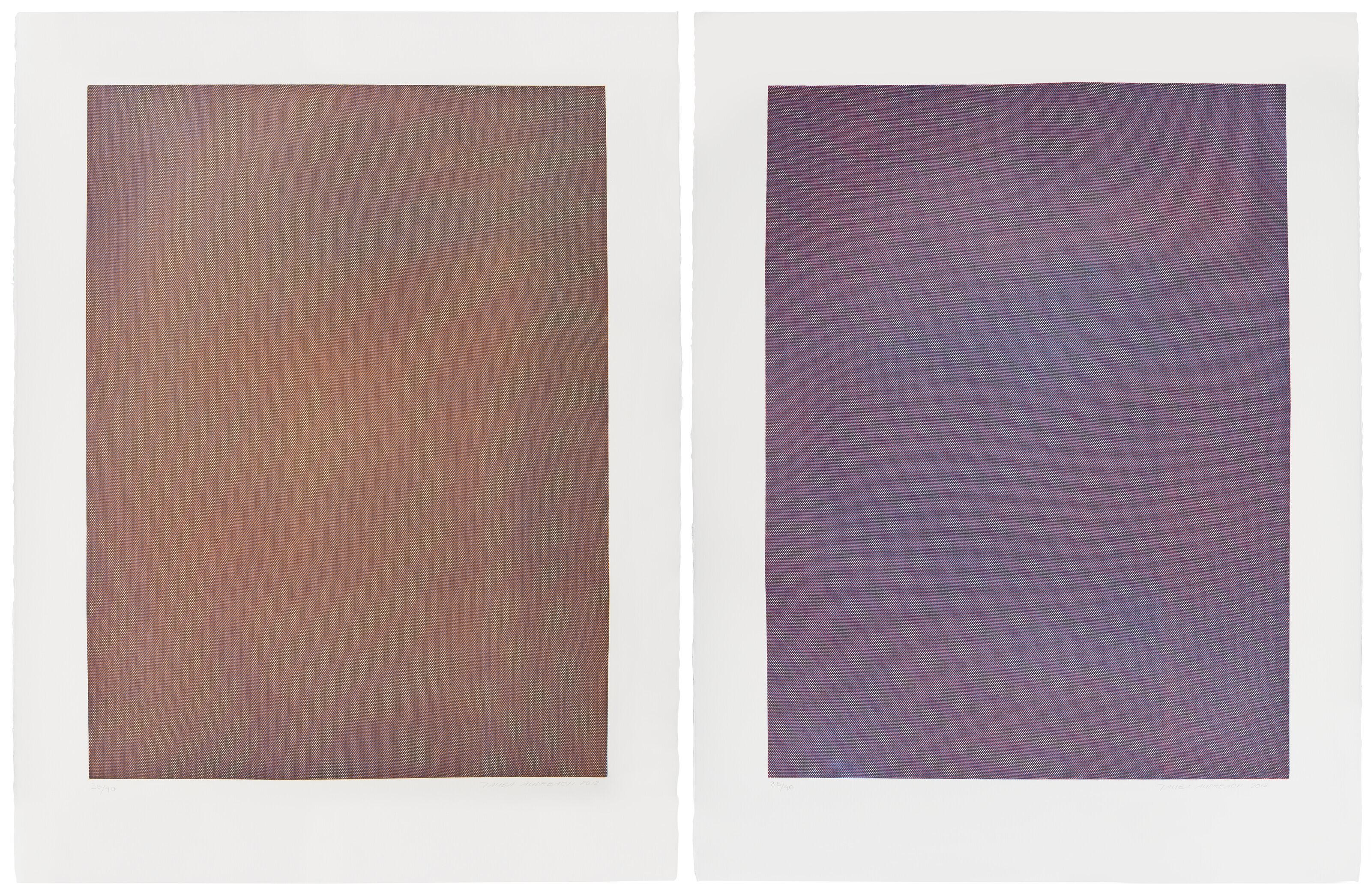 Tauba Auerbach - Mesh Moire: two prints