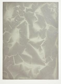 Tauba Auerbach - Plate Distortion II