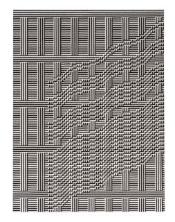Tauba Auerbach - Shadow Weave - Facade Split Wave II