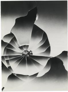 Tauba Auerbach - Shatter V