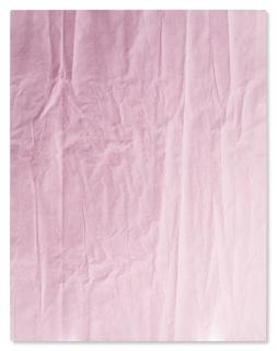 Tauba Auerbach - Untitled (Fold)