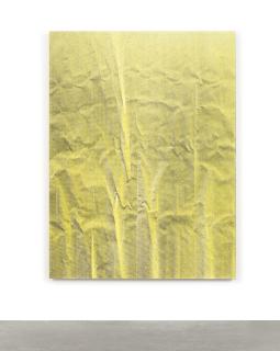 Tauba Auerbach - Untitled (Fold)